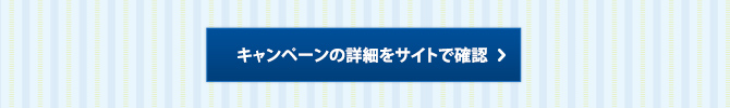 キャンペーンの詳細をサイトで確認